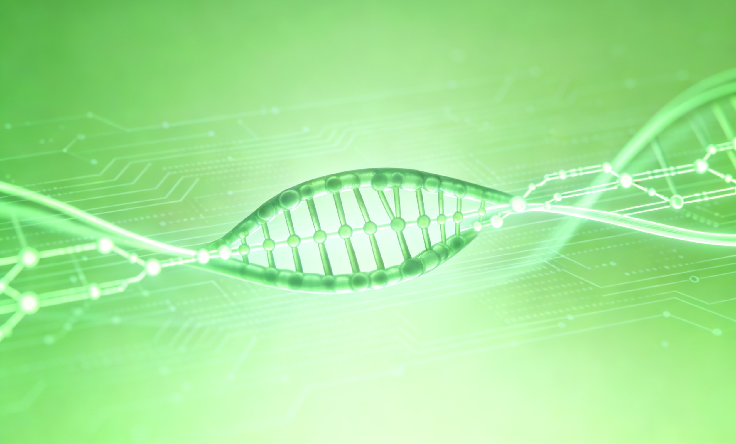 医疗器械翻译价格行情